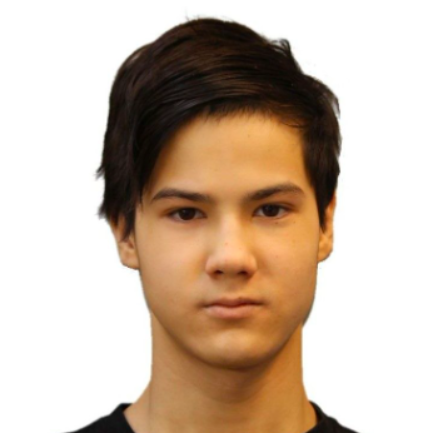 Nestor Anisimov