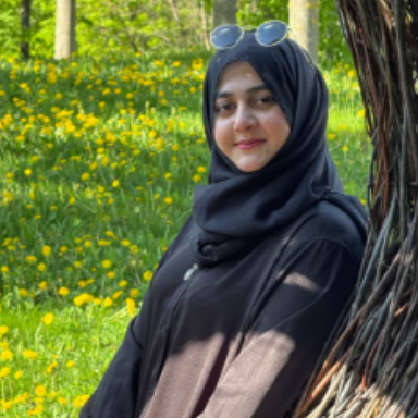 Tanveer Tayyaba