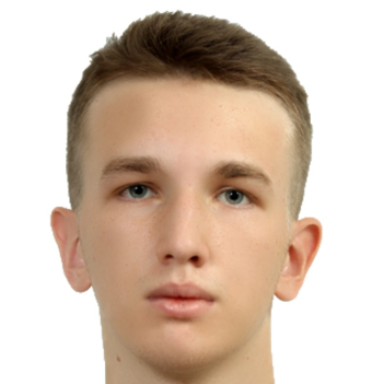 Дамир Панеш