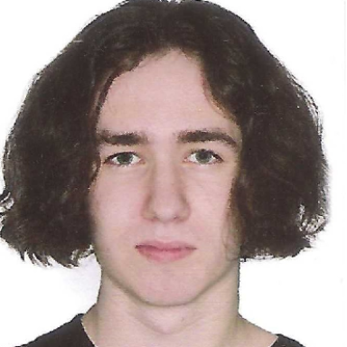 Михаил Родичев
