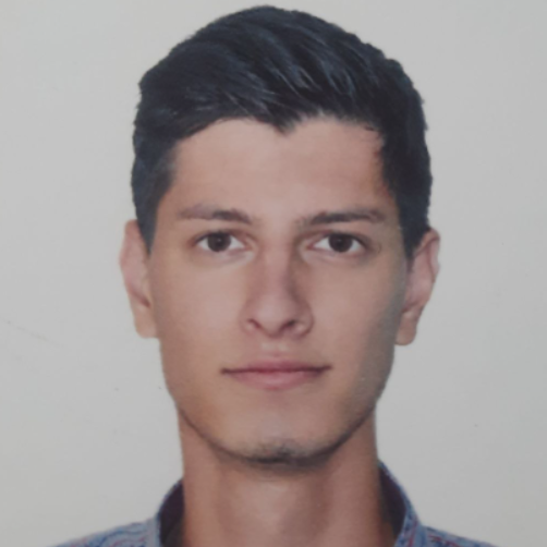 Михаил Сергеев