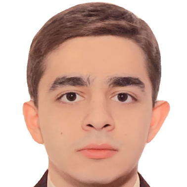 Artem Krikorov